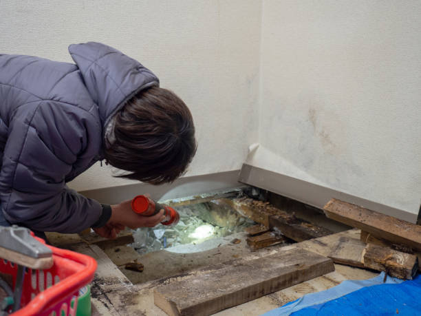 Best Mold Remediation for Healthcare Facilities  in Bronte, TX