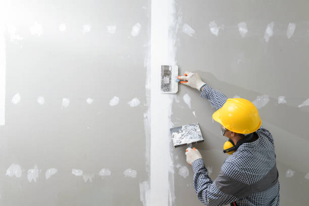 Best Attic Mold Removal  in Bronte, TX